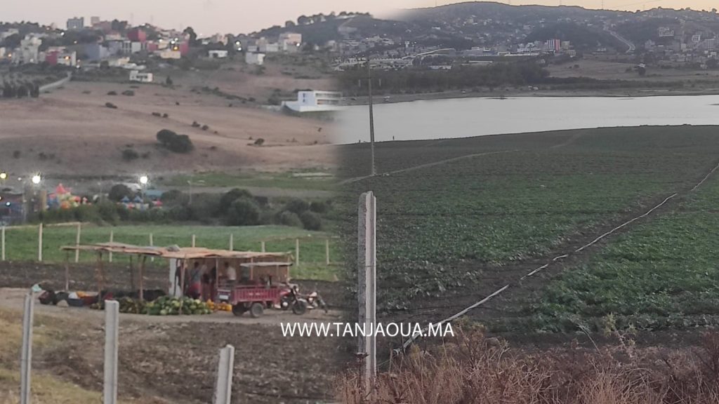 فضيحة.. استنزاف مياه بحيرة “سيدي حساين” لسقي البطيخ