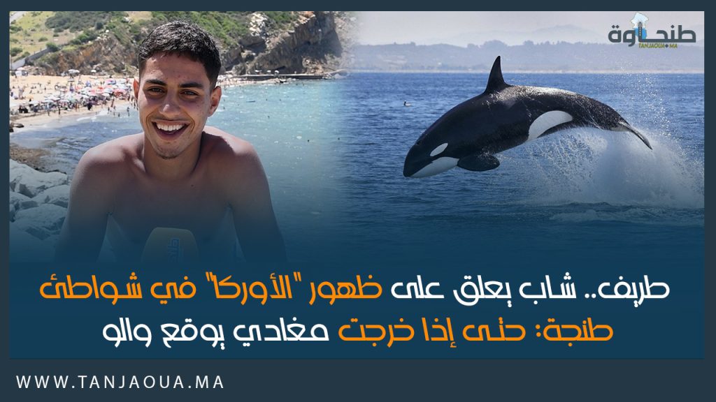 طريف.. شاب يعلق على ظهور “الأوركا” في شواطئ طنجة: حتى إذا خرجت مغادي يوقع والو