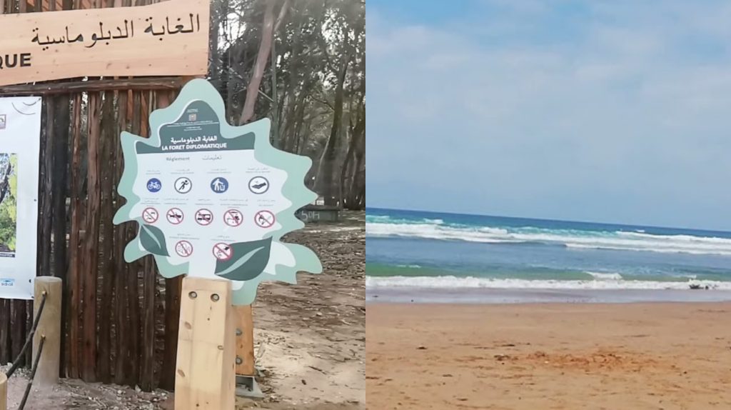 منقذو سباحة وعمال إنعاش يحتلون شاطئ “غابة ميركان” ويفرضون على المصطافين مبالغ مالية