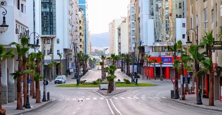 حملة بيئية تدعو إلى وقف غرس النخيل وتعويضه بالأشجار في جهة طنجة