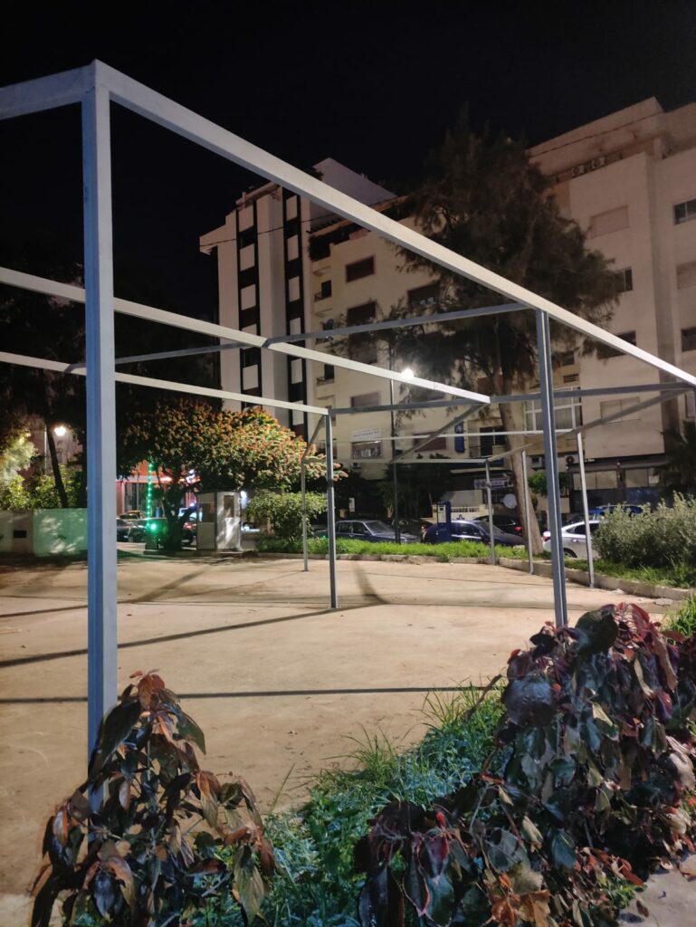 مديرية التعمير والإسكان بطنجة في دائرة الاتهام باقتلاع شجرة معمرة لبناء موقف سيارات مغطاة