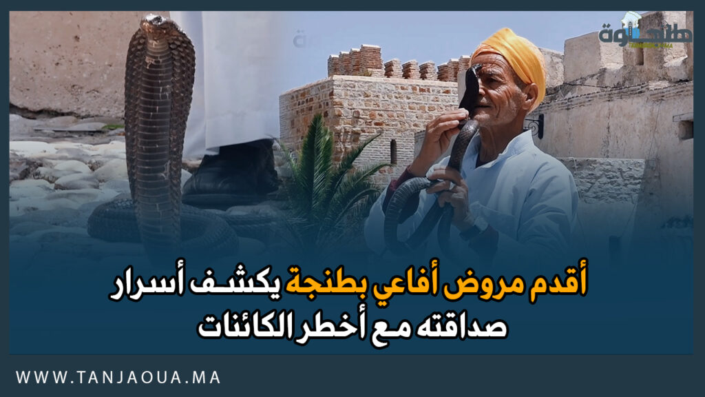 أقدم مروض أفاعي بطنجة يكشف أسرار صداقته مع أخطر الكائنات