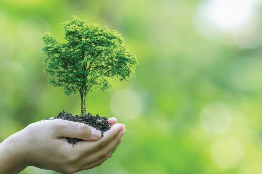 الملتقى الثالث حول “الإعلام و البيئة” بطنجة يناقش جهود الحفاظ على البيئة والموروث الطبيعي