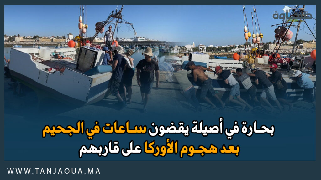 بحارة في أصيلة يقضون ساعات في الجحيم بعد هجوم الأوركا على قاربهم