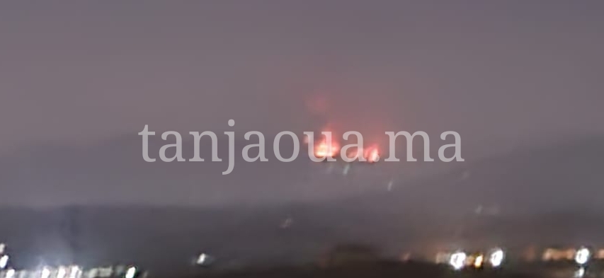 حريق ضخم يلتهم غابة بغاغزة.. ومخاوف من وصوله إلى المداشر المجاورة