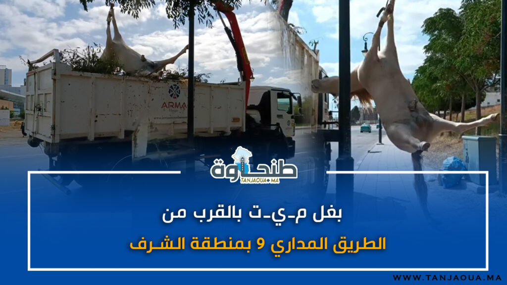 بغل مـ،،يـت بالقرب من الطريق المداري 9 بمنطقة الشرف