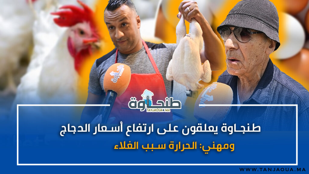 طنجاوة يعلقون على ارتفاع أسعار الدجاج.. ومهني: الحرارة سبب الغلاء
