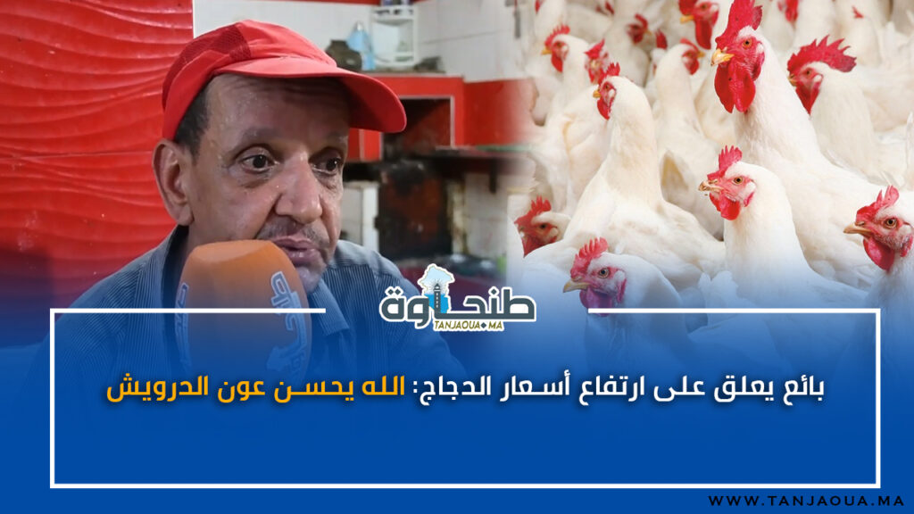 بائع يعلق على ارتفاع أسعار الدجاج: الله يحسن عون الدرويش