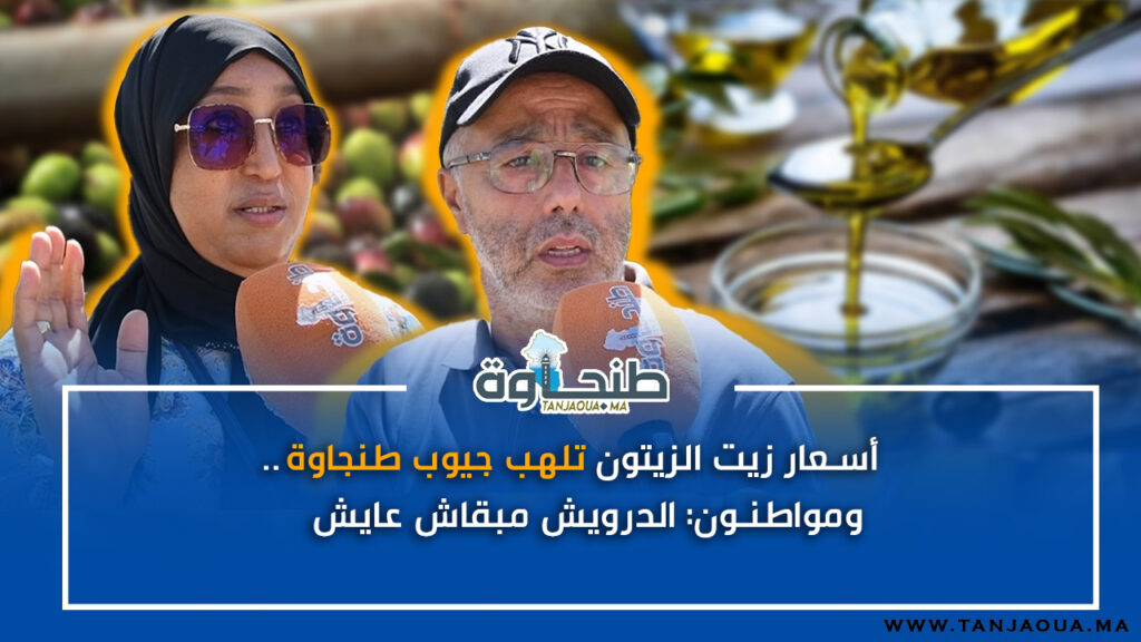 أسعار زيت الزيتون تلهب جيوب طنجاوة.. ومواطنون: الدرويش مبقاش عايش!!
