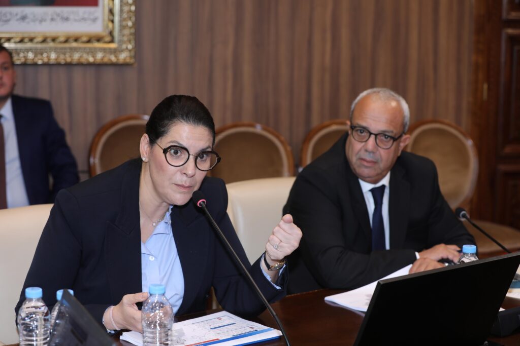 المنصوري تعلن عن تسوية أزيد من 12 ألف بناء غير قانوني منذ سنة 2023