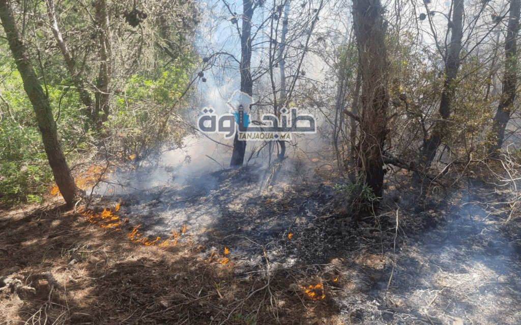 حريق يلتهم أجزاء واسعة من غابة هوارة.. واستنفار في صفوف الوقاية المدنية