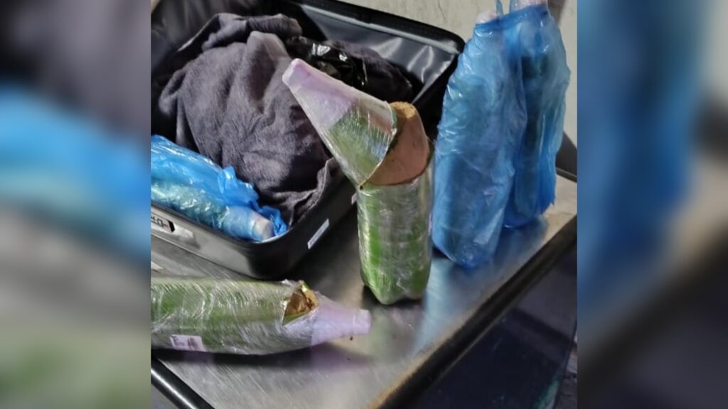 الشيرا في حقائب وقوارير.. سقوط شبكة تهريب بمطار طنجة الدولي