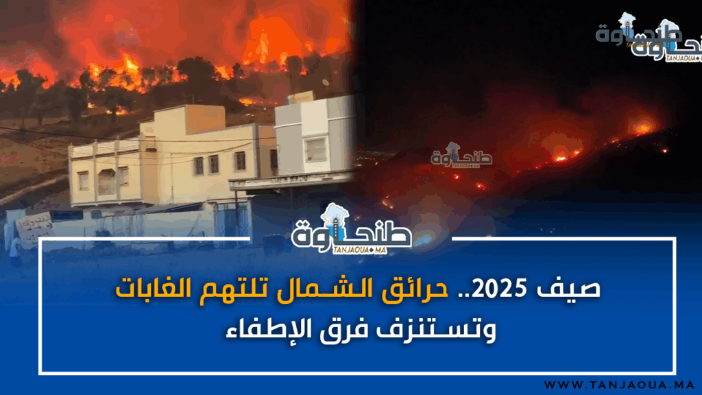 صيف 2025.. حرائق الشمال تلتهم الغابات وتستنزف فرق الإطفاء