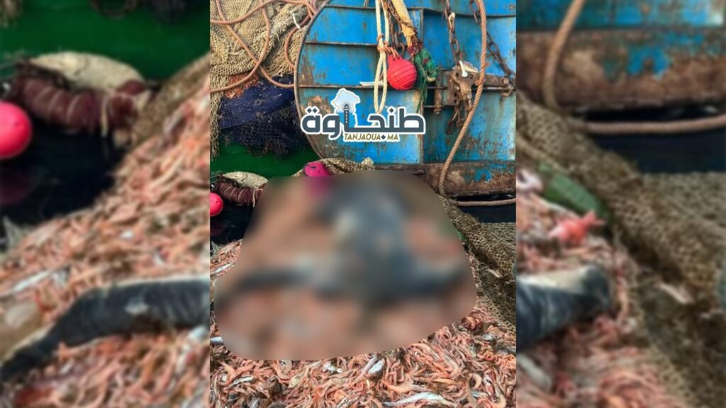 انتشال جثة مقطوعة الرأس بشبكة صيد قبالة سواحل المضيق