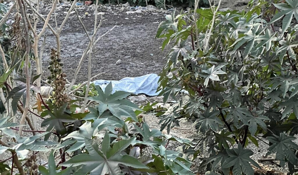 العثور على جثة مسن مفقود منذ أسابيع داخل وادٍ ببئر الشفاء