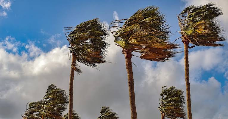 طقس السبت: رياح قوية مرتقبة بمنطقة طنجة
