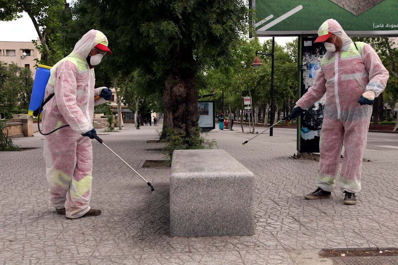 بعد الأمطار الغزيرة.. جهة طنجة تطوان تستعد لمواجهة “غزو البعوض” الصيفي