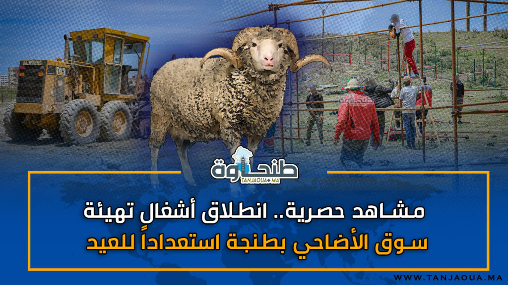 مشاهد حصرية.. انطلاق أشغال تهيئة سوق الأضاحي بطنجة استعداداً للعيد